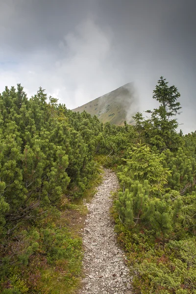 The Low Tatras, Eslováquia — Fotografia de Stock