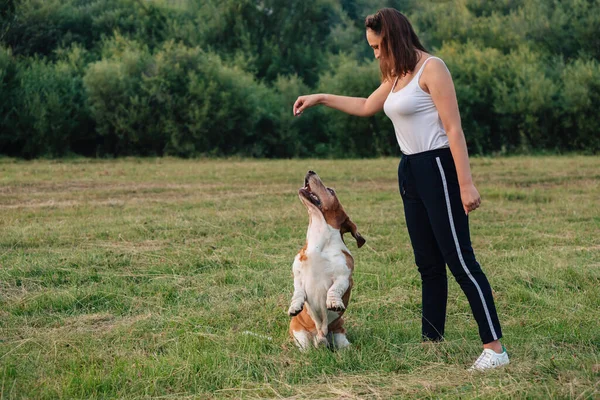 Young Adult Girl Walks Basset Hound Dog Nature Owner Playing — Stockfoto