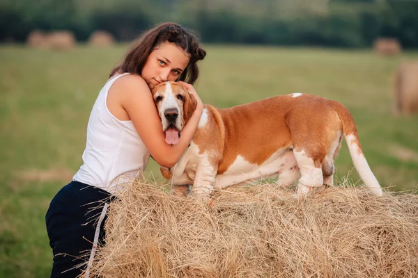 Young Adult Girl Walks Basset Hound Dog Nature Owner Hugs Fotografias De Stock Royalty-Free