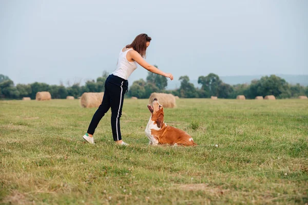 Young Adult Girl Walks Basset Hound Dog Nature Owner Playing Fotografia De Stock