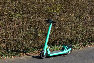 Kaldırımın kenarında bir turkuaz elektrikli scooter duruyor. Çalıların arka planına karşı.