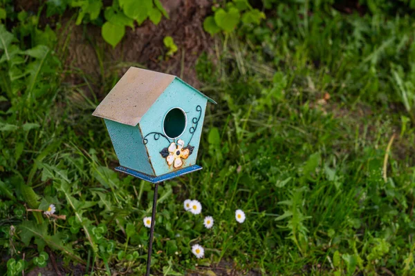 デイジーと緑の草の背景にある小さな鳥の家 — ストック写真