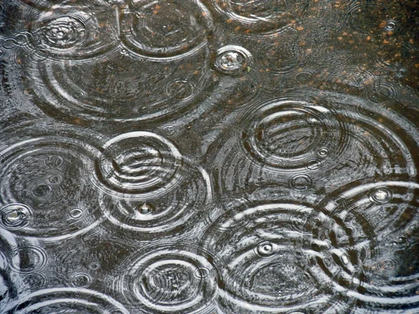 Puddle of rain closeup — Stock Photo, Image