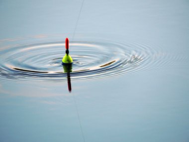 float ısırma