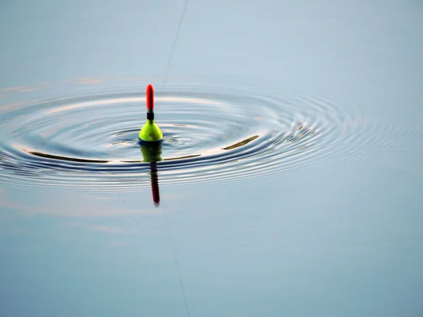 Float biting — Stock Photo, Image