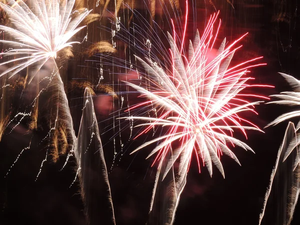 Fuochi artificiali — Foto Stock