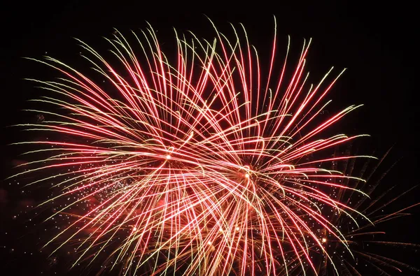 Fuegos artificiales —  Fotos de Stock