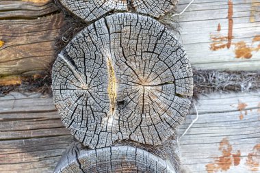 Eski bir günlük bir kesim şeklinde ahşap arka plan