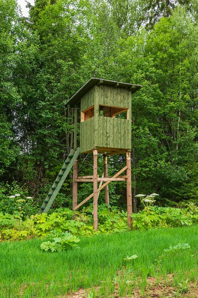 Ormanda avlanmak için bir kule, bir labaz