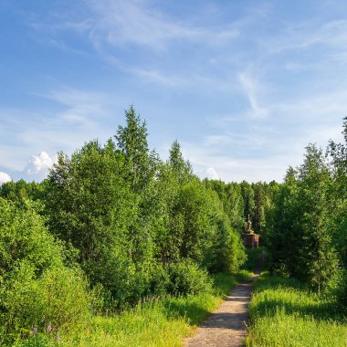 Rusya 'nın Kostroma eyaletindeki ormandaki Ortodoks kilisesi. İnşaat yılı 1913..