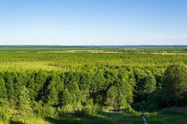 Rusya 'nın Kostroma bölgesindeki 