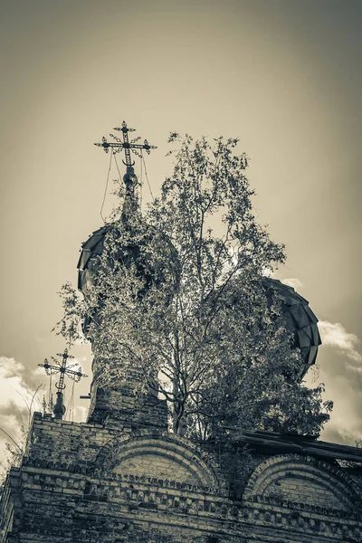 Cúpulas Uma Igreja Abandonada Com Cruzes Igreja Aldeia Nikola Torzhok — Fotografia de Stock