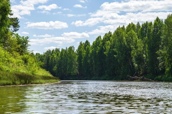 Forest River Hot Summer Day — Stock Photo, Image