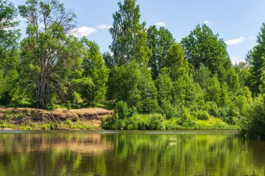 sıcak bir yaz gününde orman nehri