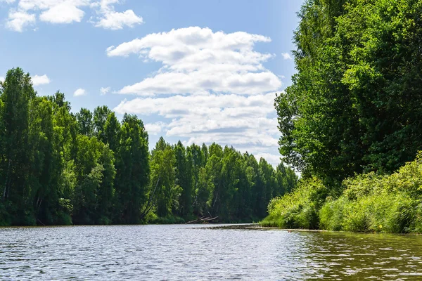 sıcak bir yaz gününde orman nehri