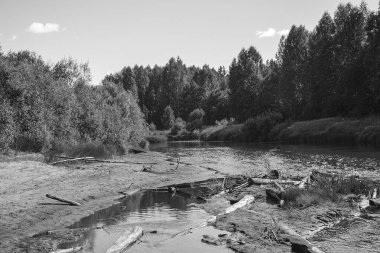 sıcak bir yaz gününde orman nehri