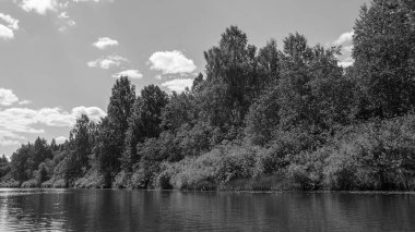 sıcak bir yaz gününde orman nehri