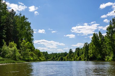 sıcak bir yaz gününde orman nehri