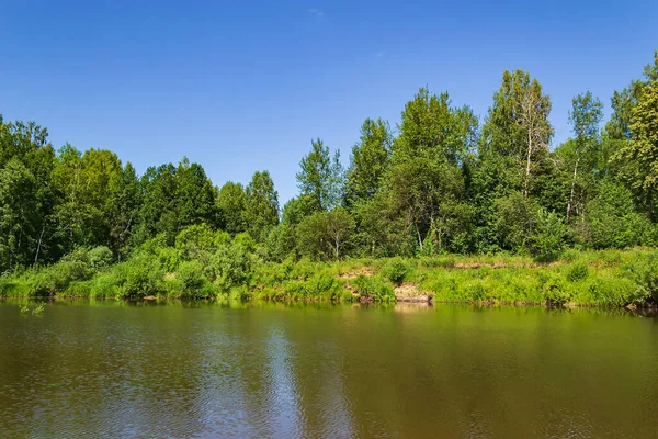 Forest River Hot Summer Day — Stock Photo, Image