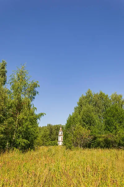 Landscape Bell Tower Forest Temple Village Sobolevo Kostroma Province Russia Stock Picture