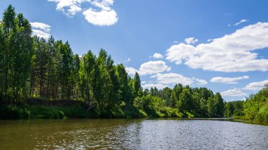 sıcak bir yaz gününde orman nehri