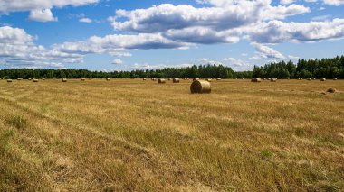 saman balyalarıyla tarla, hasat zamanı