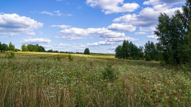 Kırsal alan, yamaçta bir arazi.