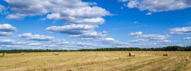 saman balyalarıyla tarla, hasat zamanı