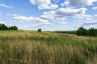Kırsal alan, yamaçta bir arazi.