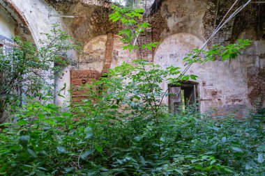 Rusya 'nın Kostroma ilinin Pavlovskoye köyünün tapınağı olan terk edilmiş bir Ortodoks kilisesinin içinde. İnşaat yılı 1826. Şu anda tapınak terk edilmiş durumda..