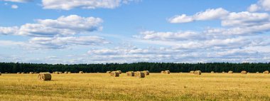 saman balyalarıyla tarla, hasat zamanı