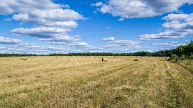 saman balyalarıyla tarla, hasat zamanı