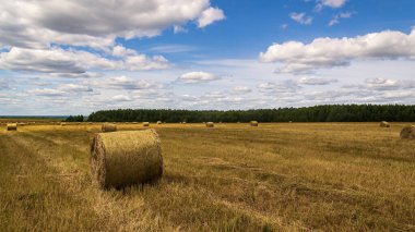 saman balyalarıyla tarla, hasat zamanı