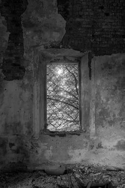 Rusya 'nın Kostroma ilinin Pavlovskoye köyünün tapınağı olan terk edilmiş bir Ortodoks kilisesinin içinde. İnşaat yılı 1826. Şu anda tapınak terk edilmiş durumda..