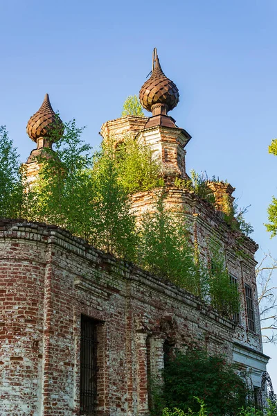 Una Antigua Iglesia Ortodoxa Abandonada Iglesia Aldea Zaluzhye Provincia Kostroma —  Fotos de Stock