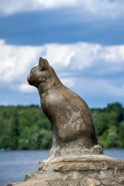 Monument Voor Kat Ples Rusland — Stockfoto