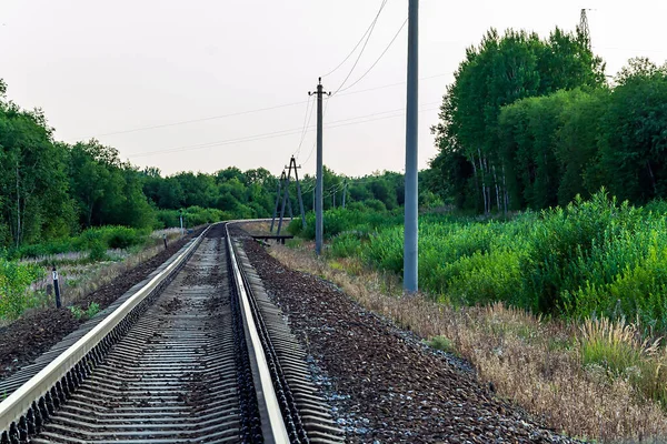 Jernbane Skogen Som Strekker Seg Avstand – stockfoto