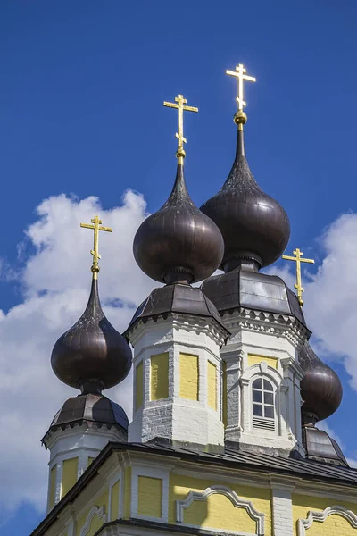 Куполи Троїцької Церкви Хрестами Місті Плес Річці Волзі Росія Рік — стокове фото
