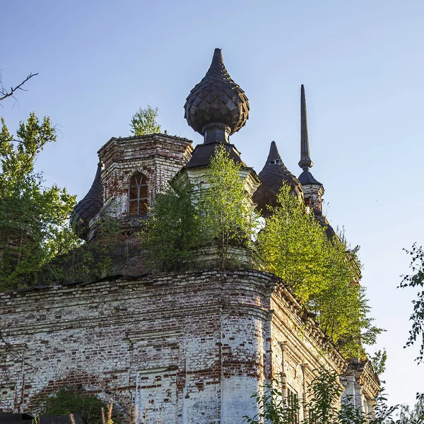 Las Cúpulas Una Iglesia Ortodoxa Abandonada Templo Aldea Zaluzhye Provincia — Foto de Stock