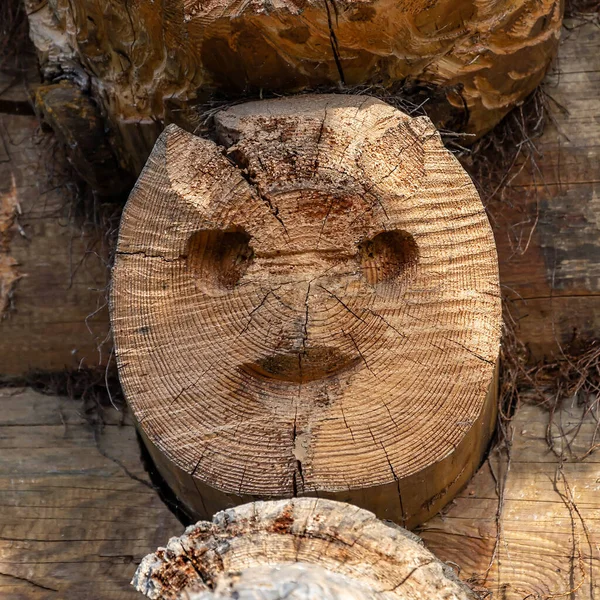 Face Carved Wood Decorative Item — Stock Photo, Image