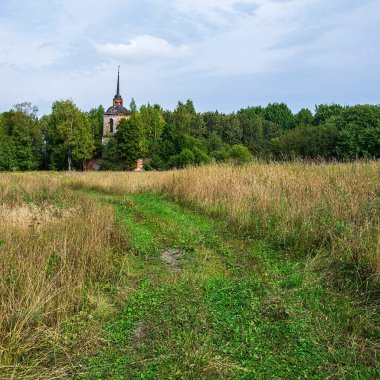 Ormanda terk edilmiş Ortodoks kilisesi, manzara, Novografskoye köyü kilisesi, Kostroma bölgesi, Rusya, 1830 'da inşa edilmiş.