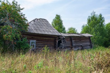 Rusya 'nın Kostroma bölgesinde terk edilmiş bir köyde terk edilmiş evler