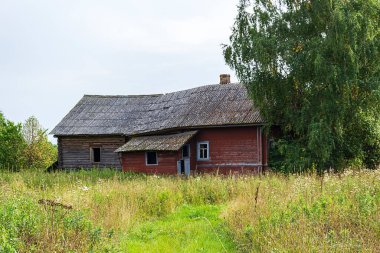 Rusya 'nın Kostroma bölgesinde terk edilmiş bir köyde yıkılmış evler
