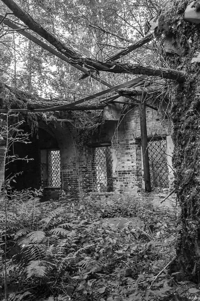 Interior Uma Igreja Ortodoxa Abandonada Novografskoye Aldeia Igreja Kostroma Região — Fotografia de Stock