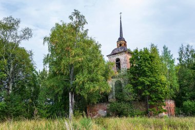 Ormandaki terk edilmiş eski Ortodoks Kilisesi, Novografskoye Köyü Kilisesi, Kostroma Bölgesi, Rusya, 1830 'da inşa edildi.