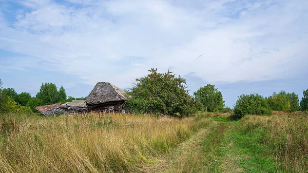 Maisons Abandonnées Dans Village Abandonné Région Kostroma Russie — Photo