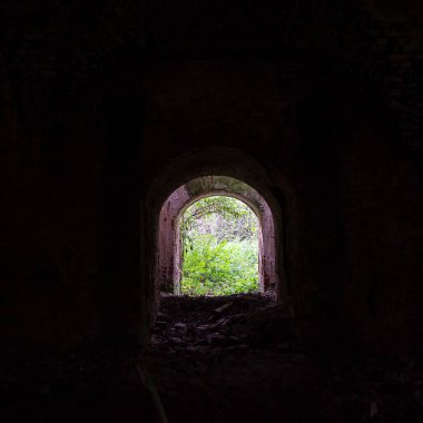 1803 'te Rusya' nın Kostroma bölgesinde inşa edilen terk edilmiş bir tapınağın içinde, Smolnitsa köyü kilisesi.