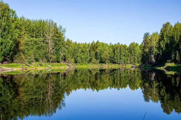 Летний Пейзаж Лесного Озера Отражение Воде — стоковое фото