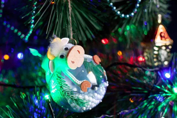 Christmas decoration, glass ball with cow on a green Christmas tree branch. christmas garland on tree. Shallow depth of field ball with golden ornament. — Stock Photo, Image