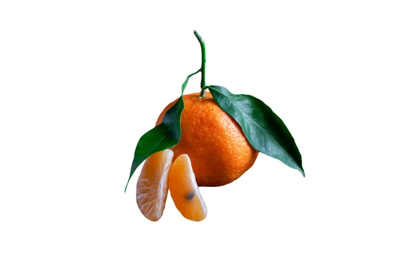 Läckra Och Vackra Tangeriner Med Gröna Blad Skalade Mandarin Orange — Stockfoto